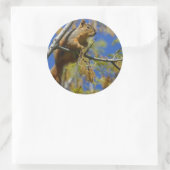 Eichhörnchen Runder Aufkleber (Tasche)