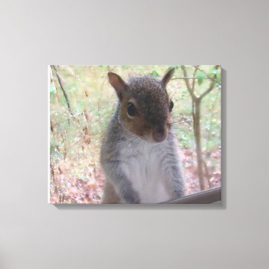 Eichhörnchen sagt Hallo! Leinwanddruck (Vorderseite)