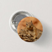 Eichhörnchen - Schaltfläche Button (Vorne & Hinten)