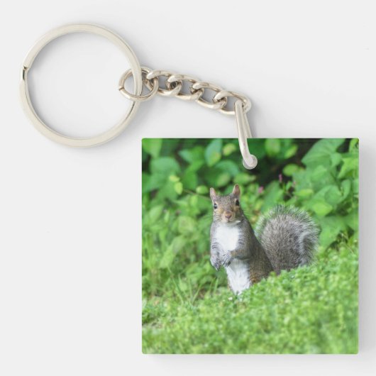 Eichhörnchen Schlüsselanhänger (Vorderseite)