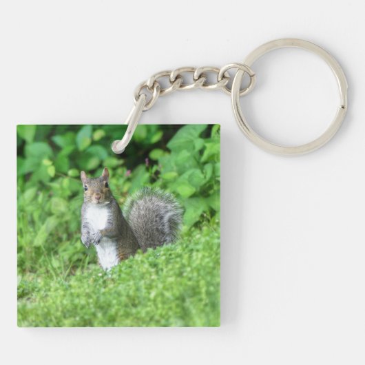 Eichhörnchen Schlüsselanhänger (Rückseite)