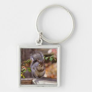 Eichhörnchen Schlüsselanhänger