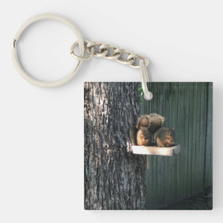 Eichhörnchen Schlüsselanhänger