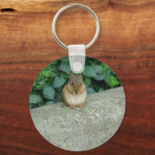 Eichhörnchen-Schlüsselanhänger Schlüsselanhänger (Vorderseite)