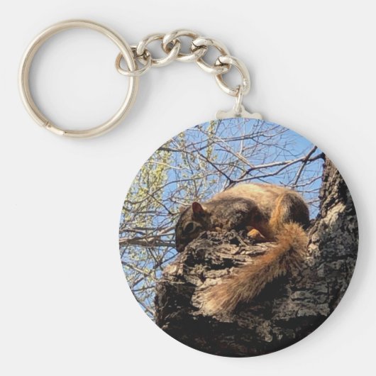 Eichhörnchen-Schlüsselanhänger Schlüsselanhänger (Vorne)