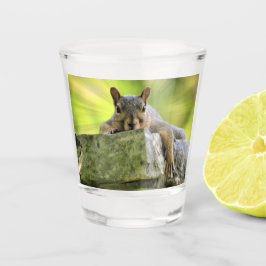 Eichhörnchen Schnapsglas