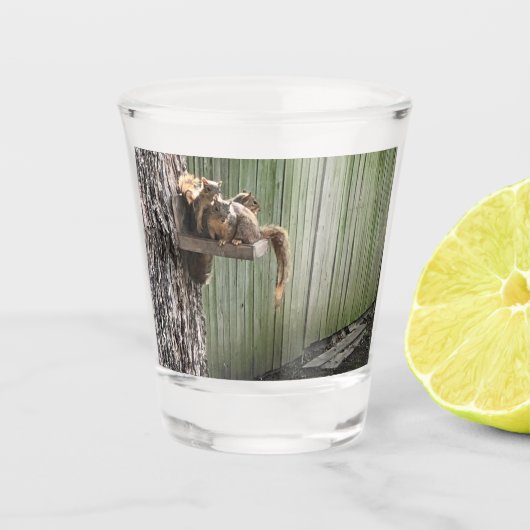 Eichhörnchen Schnapsglas (Vorderseite)