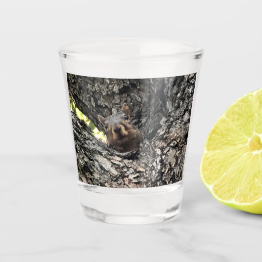 Eichhörnchen Schnapsglas (Vorderseite)