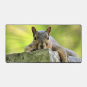 Eichhörnchen Schreibtischunterlage (Vorderseite)