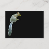 Eichhörnchen - Schwarz Visitenkarte (Rückseite)