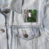 Eichhörnchen (Sciurus carolinensis) Button (Beispiel)