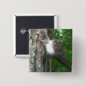 Eichhörnchen (Sciurus carolinensis) Button (Vorne & Hinten)