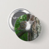 Eichhörnchen (Sciurus carolinensis) Button (Vorne & Hinten)