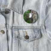 Eichhörnchen (Sciurus carolinensis) Button (Beispiel)