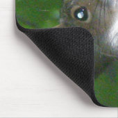 Eichhörnchen (Sciurus carolinensis) Mousepad (Ecke)