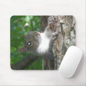 Eichhörnchen (Sciurus carolinensis) Mousepad (Mit Mouse)