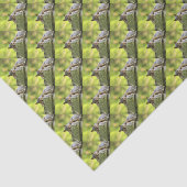 Eichhörnchen Seidenpapier (Ausschnitt)