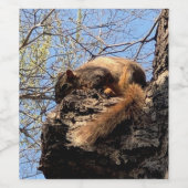 Eichhörnchen Set für Lebensmittel und Getränke Weinetikett (Einzelnes Label)