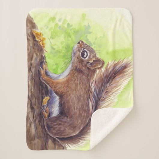 Eichhörnchen Sherpadecke (Vorderseite)