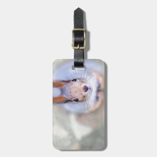 Eichhörnchen sieht dich von unten nach oben an gepäckanhänger (Vorderseite vertikal)