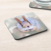 Eichhörnchen sieht dich von unten nach oben an getränkeuntersetzer (Linke Seite)