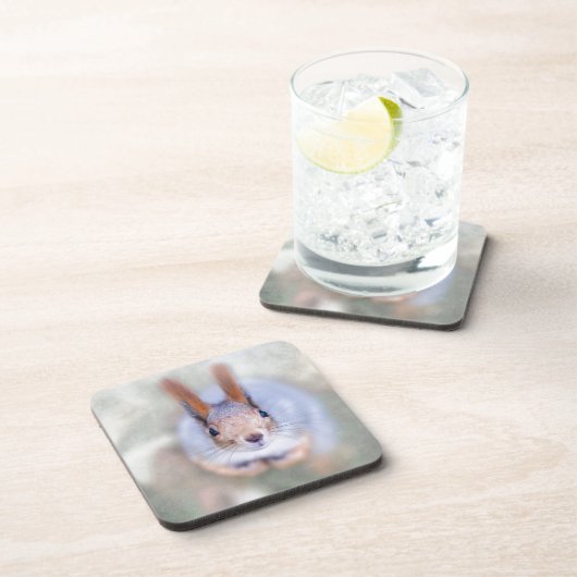 Eichhörnchen sieht dich von unten nach oben an getränkeuntersetzer (Rechte Seite)