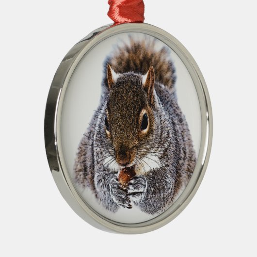 Eichhörnchen Silbernes Ornament (Rechts)