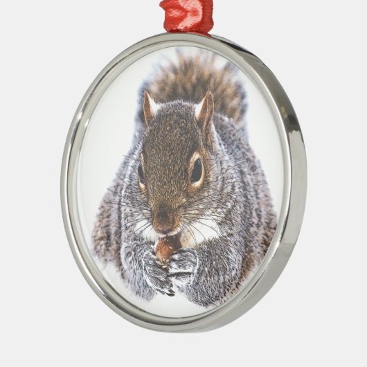 Eichhörnchen Silbernes Ornament (Links)