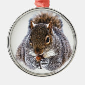 Eichhörnchen Silbernes Ornament (Vorne)