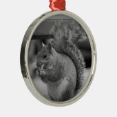 Eichhörnchen Silbernes Ornament (Rechts)