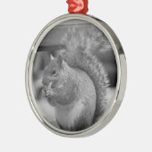 Eichhörnchen Silbernes Ornament (Links)