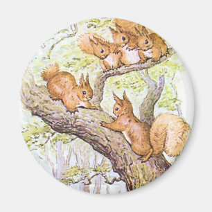 Eichhörnchen-Sitzung Magnet