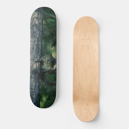 Eichhörnchen Skateboard (Vorderseite)