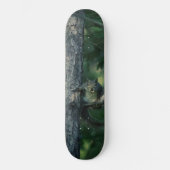 Eichhörnchen Skateboard (Vorderseite)