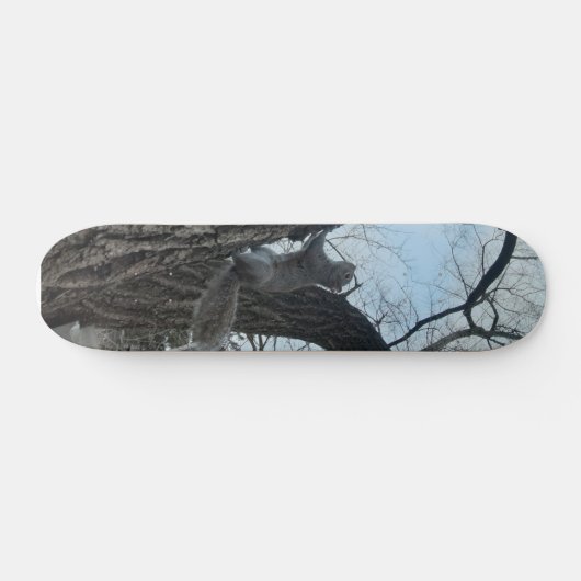 Eichhörnchen Skateboard (Horizontal)