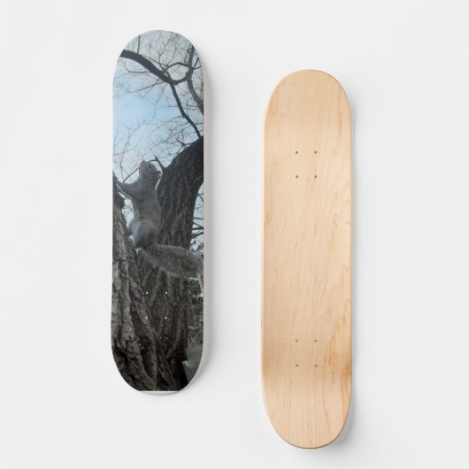Eichhörnchen Skateboard (Vorderseite)