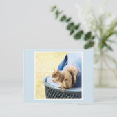 Eichhörnchen-Snack Postcard Feiertagspostkarte (Stehend Vorderseite)