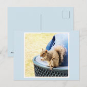 Eichhörnchen-Snack Postcard Feiertagspostkarte (Vorne/Hinten)