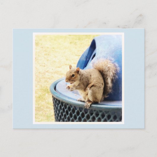 Eichhörnchen-Snack Postcard Feiertagspostkarte (Vorderseite)