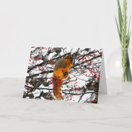 Eichhörnchen Snow Red Berry Tree Foto Geburtstag Karte