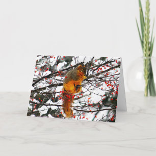 Eichhörnchen Snow Red Berry Tree Foto Geburtstag Karte