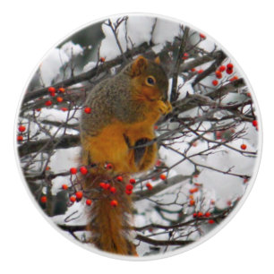 Eichhörnchen Snow Red Berry Tree Foto Keramikknauf