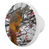 Eichhörnchen Snow Red Berry Tree Foto Keramikknauf (Rechts)