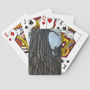 Eichhörnchen Spielkarten