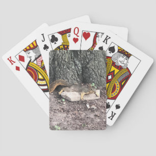 Eichhörnchen Spielkarten