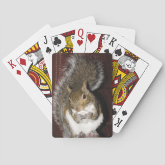 Eichhörnchen-Spielkarten Spielkarten
