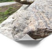 Eichhörnchen Stehend Poster (Ecke)