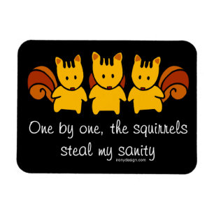 Eichhörnchen stehlen meine Vernunft Magnet