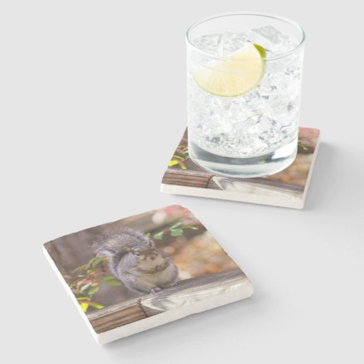 Eichhörnchen Steinuntersetzer (Seitenansicht)