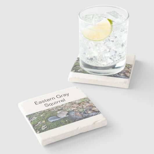 Eichhörnchen Steinuntersetzer (Seitenansicht)